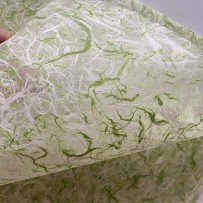 Rice paper, thin, Light green