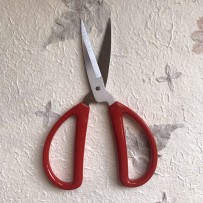 Scissors, 19.5 cm